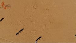 hr都爱选择的20人团建方案,hr团建内容有哪些