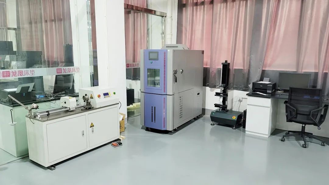 传经典致未来“龙凤家居66周年庆典”活动盛大举行