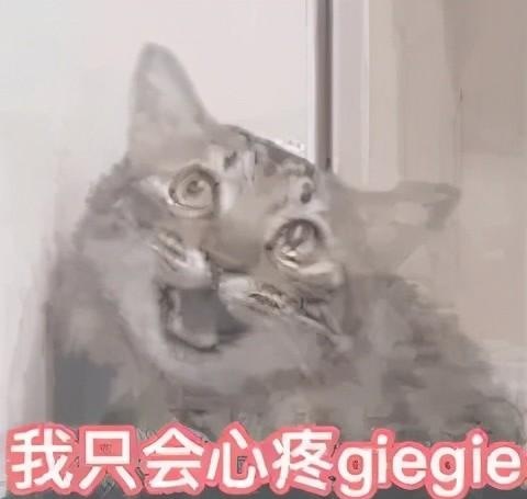 2021年热梗盘点，快来看看你是不是5G冲浪选手