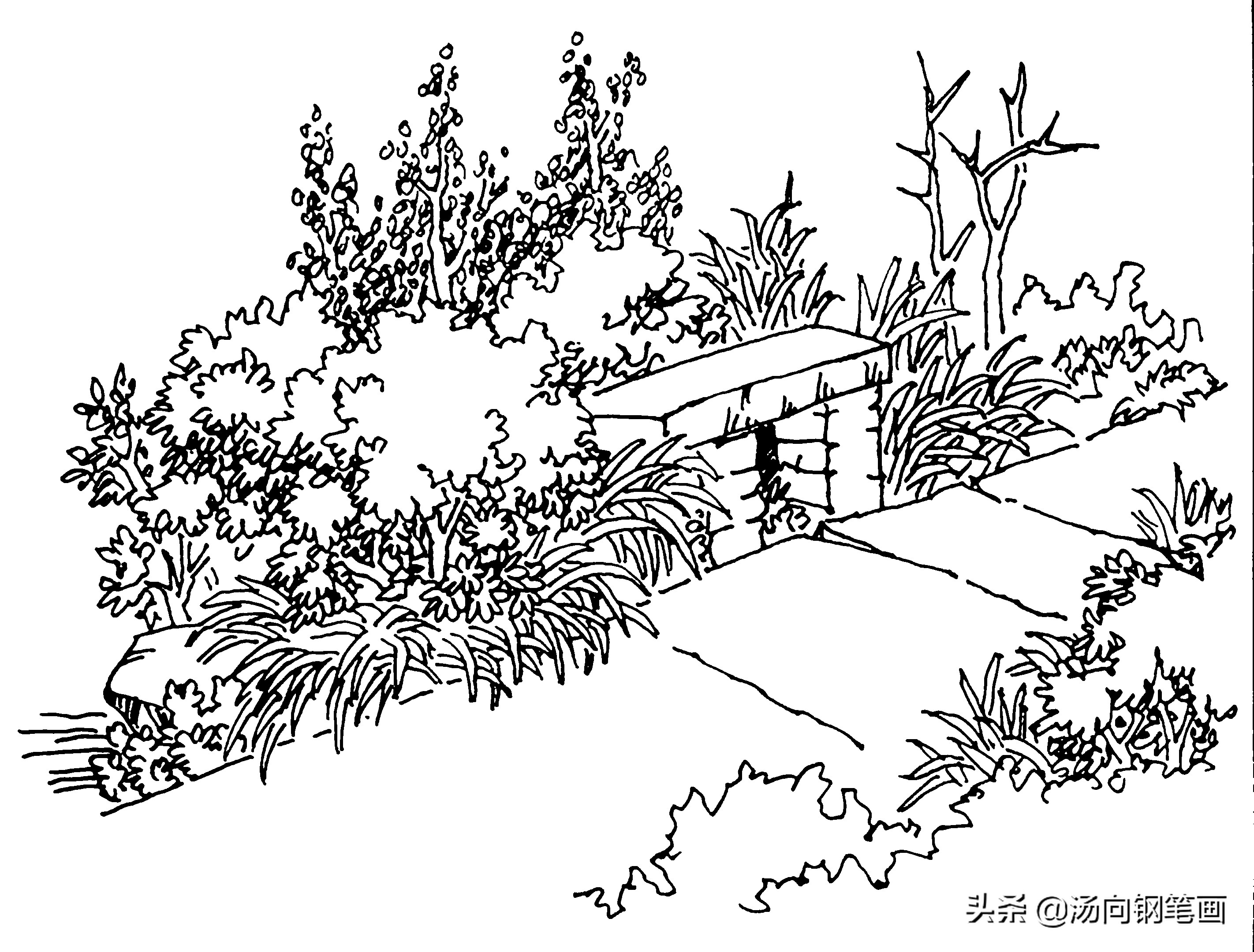 钢笔画入门教程100例,零基础钢笔画入门教程树枝组合