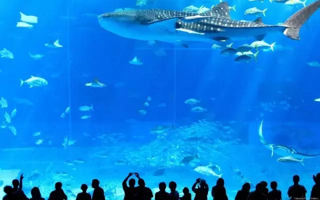 春回大地山清水秀,春回大地感受春的气息