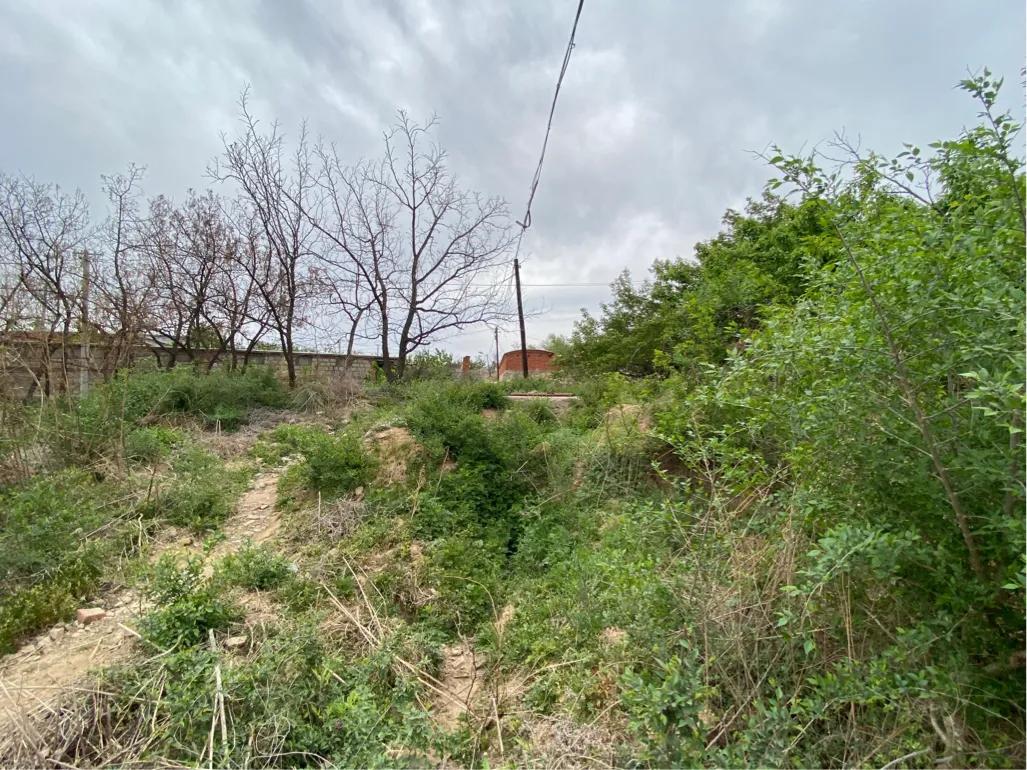 【7/5】29、搬倒井后太爷墓