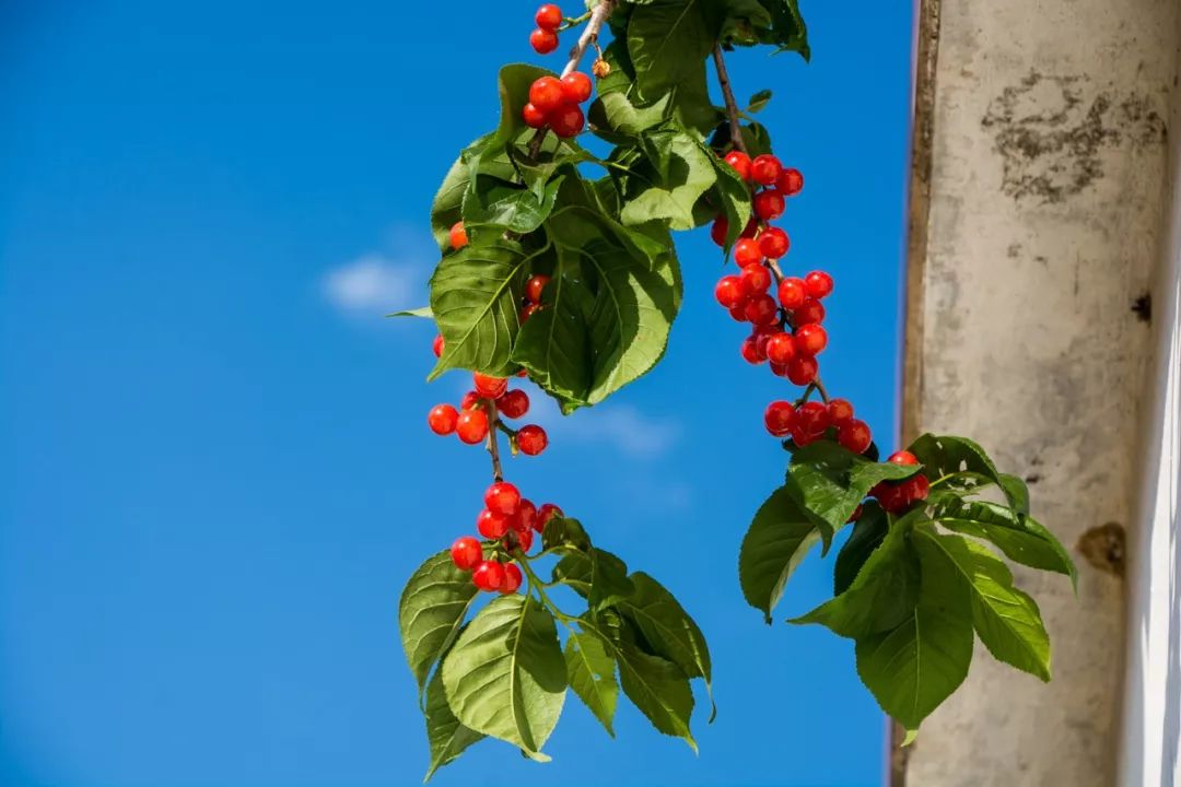 说秋道冬话永胜，气候多样人宜居