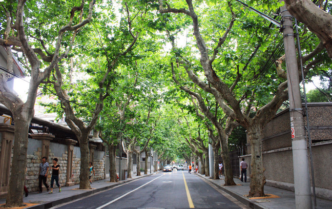 上海自由行必去十大景点,上海晚上十大必去免费景点