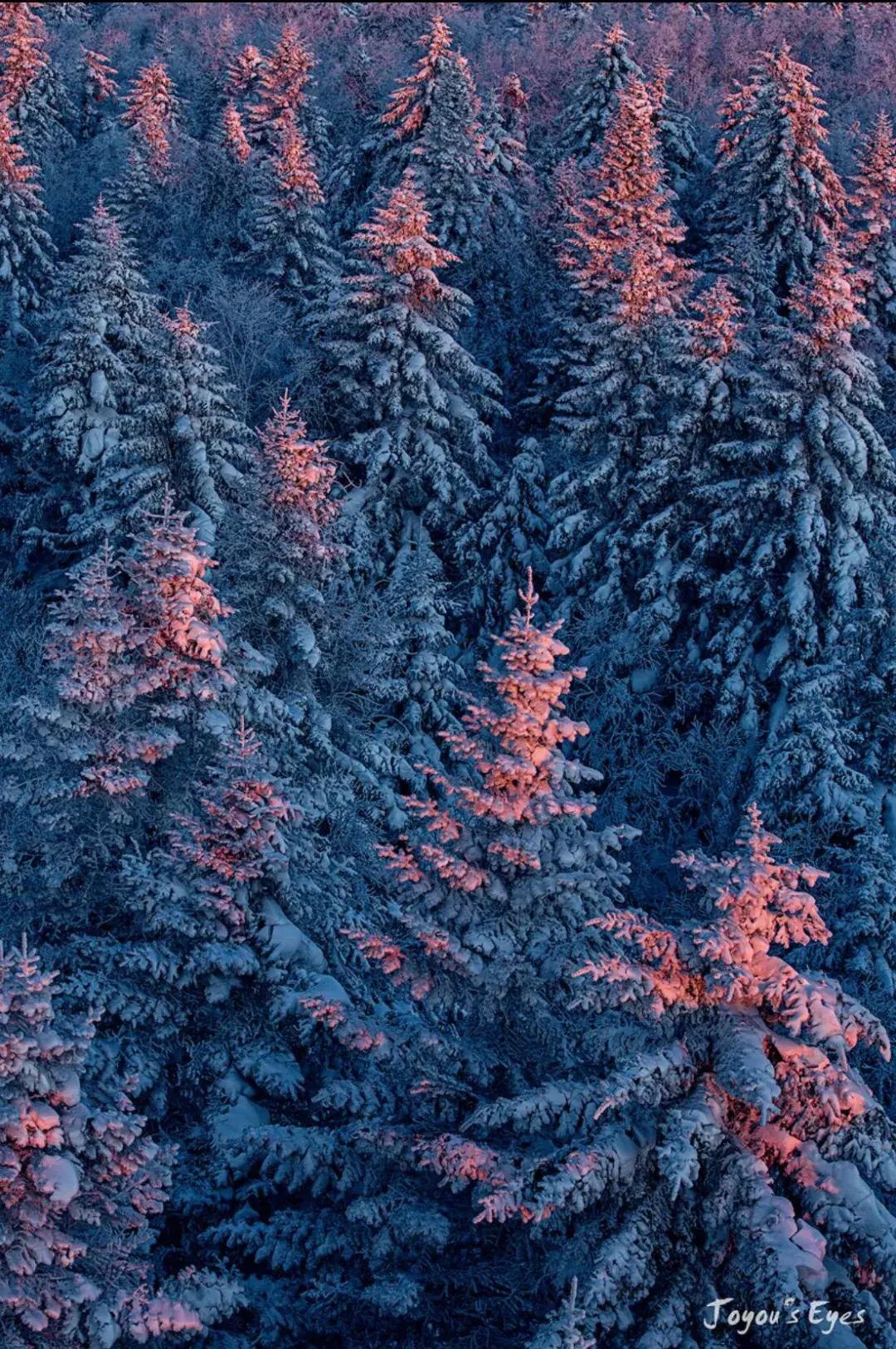 摄影讲堂冬季冰雪的拍摄技巧,冰雪拍摄技巧大全集