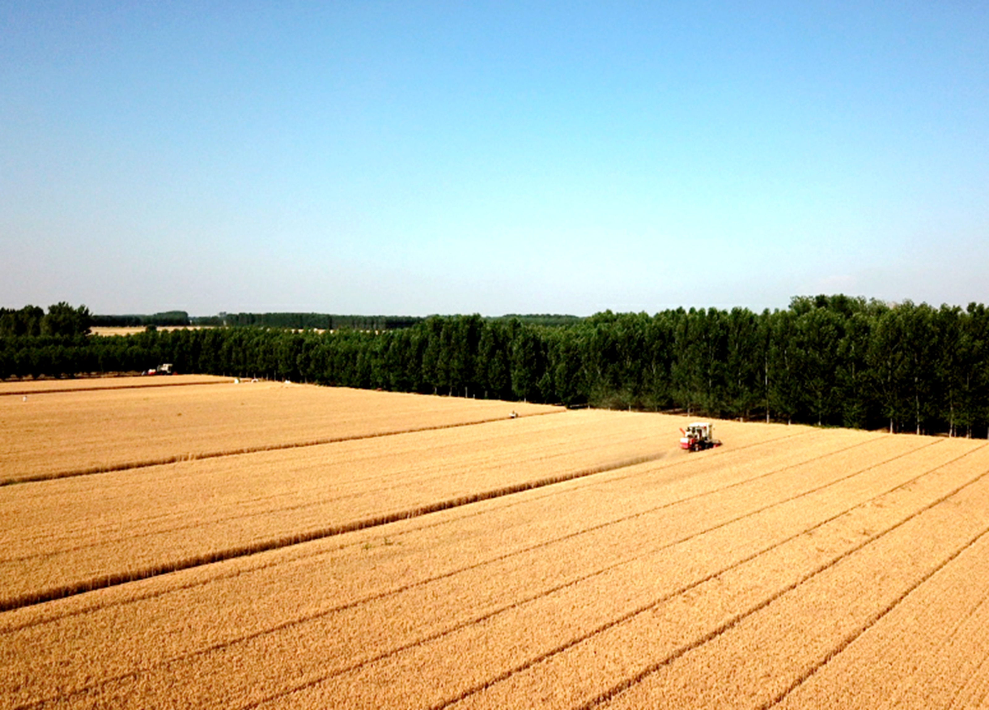 山东地理位置和自然条件,为啥说山东是全国最好的一块地方