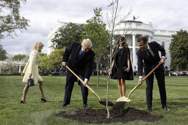 36岁的凯特王妃和37岁伊万卡,凯特王妃最新照曝光