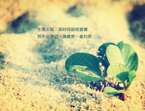 天下雨了能撑伞吗,天在下雨可以撑伞心在下雨该咋办