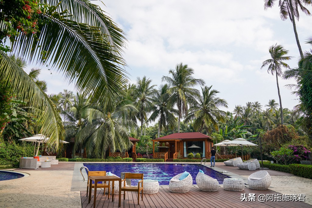 漫步其中尽享清新惬意,漫步海边椰林