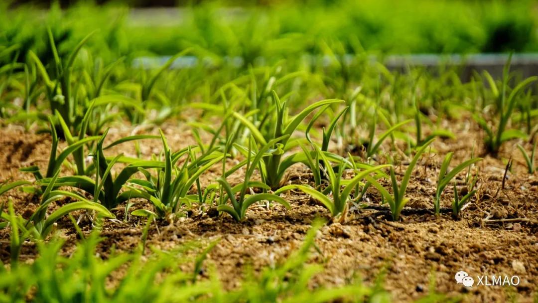 摄影爱好者的拍摄题材,一名业余摄影爱好者的简介