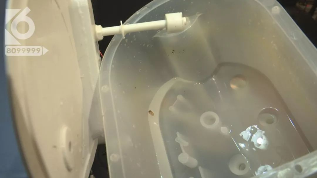 饮水机里全是蟑螂,饮水机里有蟑螂水还可以喝吗