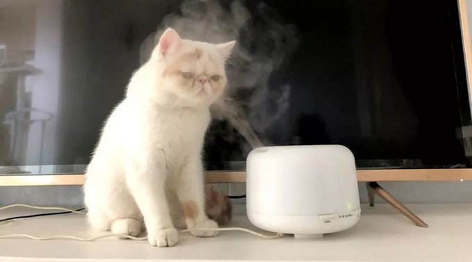 细致皮肤告别草莓鼻,低成本三步告别草莓鼻