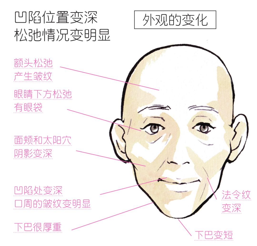 男女版审美取向图片,亚洲审美建模取向