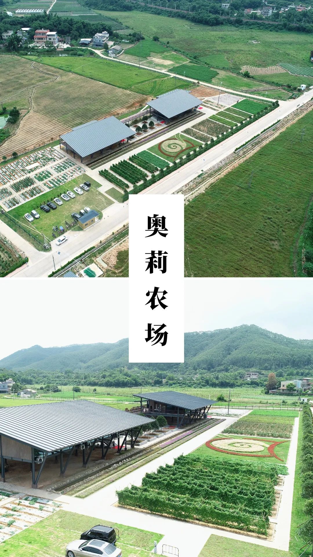 投资10亿，坐标布吉，这是一所被低估的宝藏学校