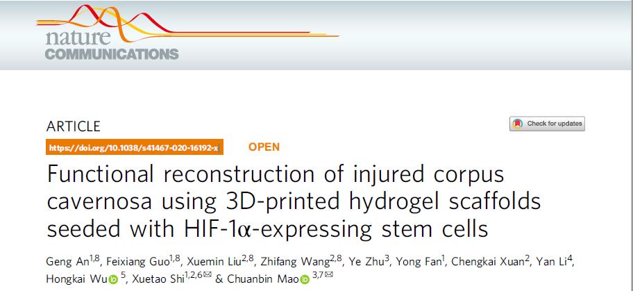 3D打印结合干细胞技术，重建海绵体损伤，恢复雄兔生育功能