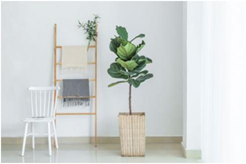 整理师搬家服务,整理师日式搬家