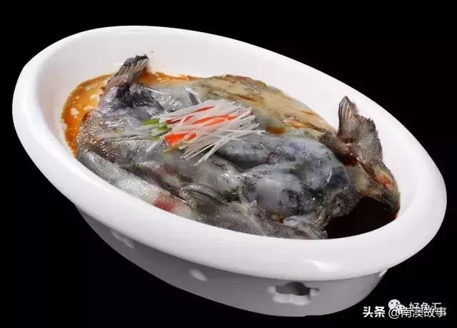 海鱼的做法大全家常视频,海鱼的30种家常做法收藏