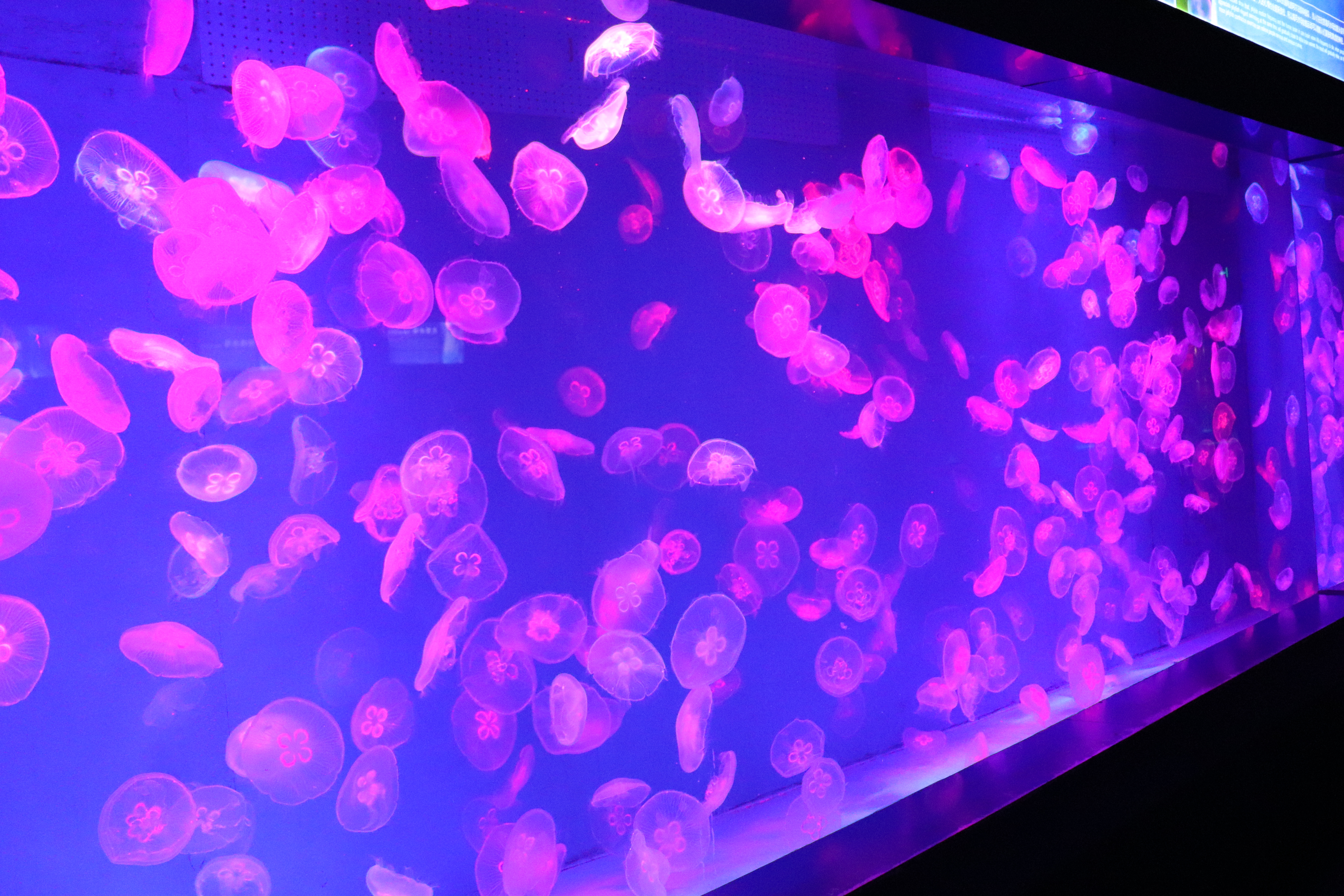 旅游要报旅游团吗,穷人抱团还是富人抱团