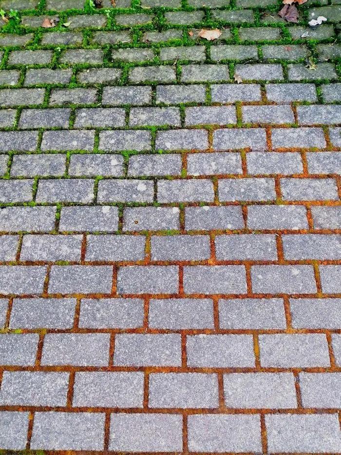 带你看大自然的惊喜,歪果仁看的超震撼的中国视频