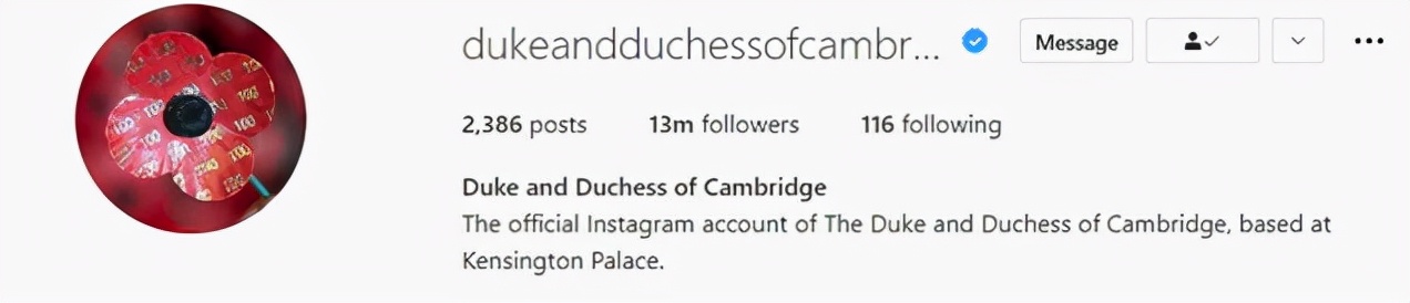 哈里与梅根甜蜜现身,哈里和梅根首次公开亮相