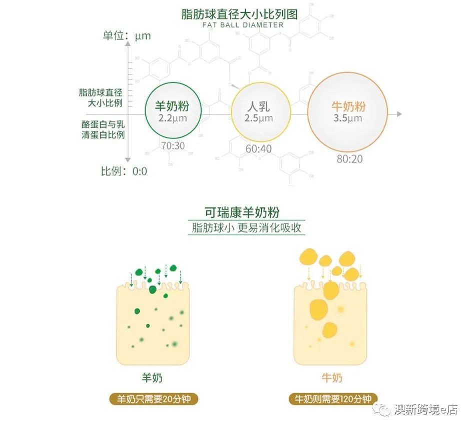 2022澳洲奶粉十大品牌排行榜,婴儿奶粉澳优品牌排行
