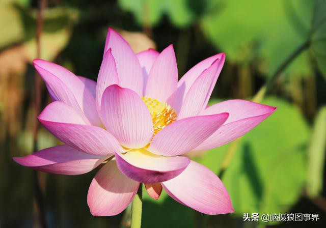 ps摄影后期软件工具使用教程,摄影ps后期工具栏设置