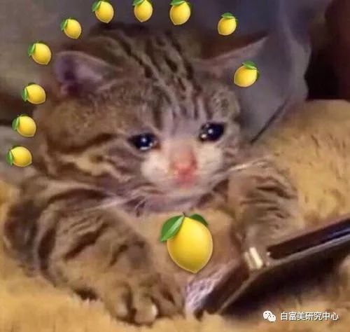 名媛40亿身价,身价36亿名媛