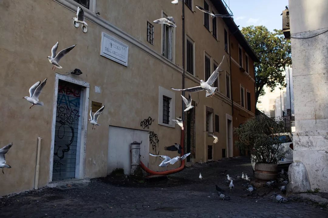 罗马男子出征在许愿池投三枚硬币,罗马许愿池投下3枚硬币是什么