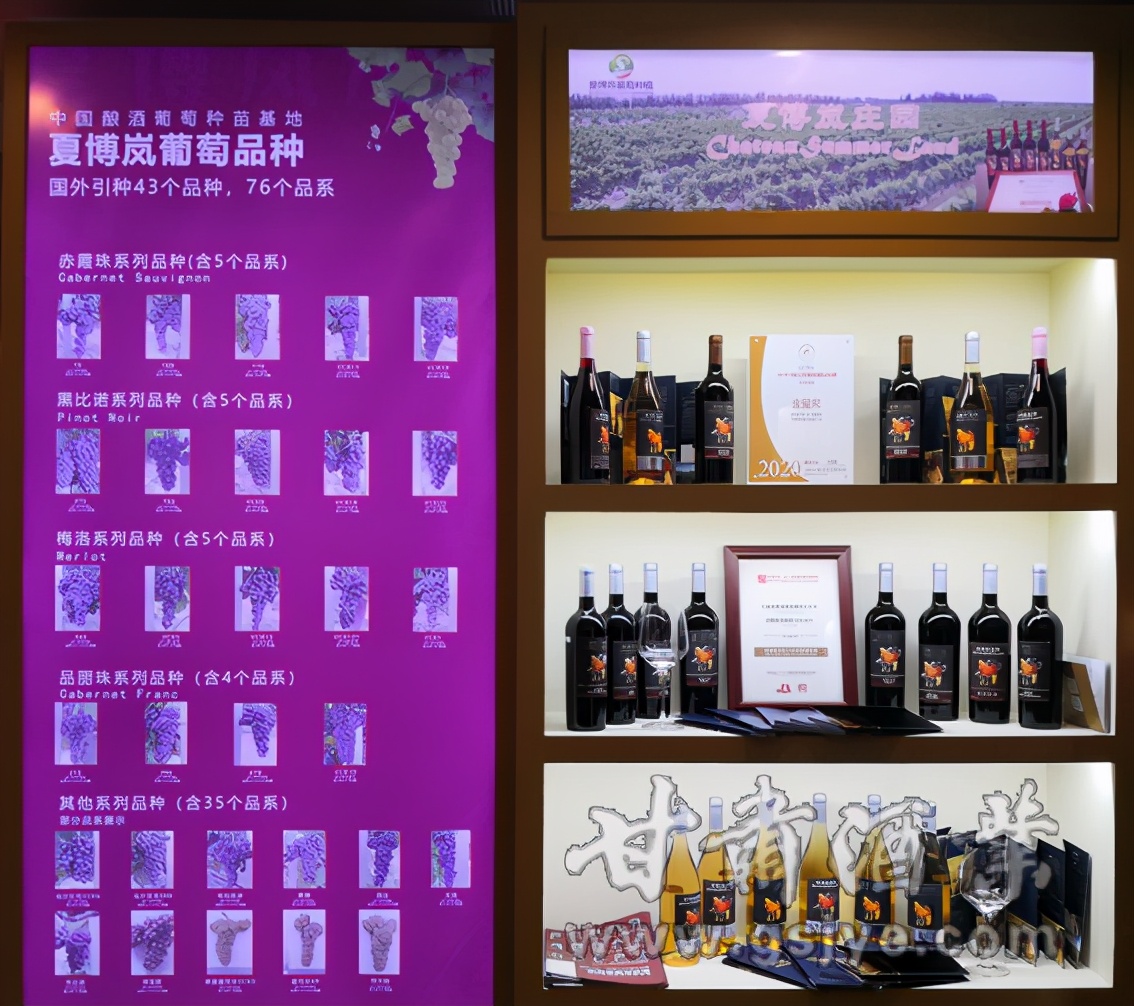 鎴愰兘钃夊煄鍥涙湀,钃夊煄鍥涙湀