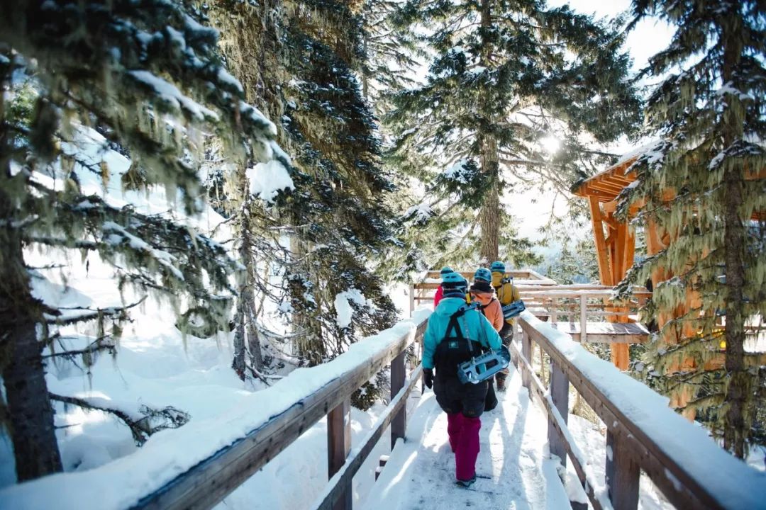 冬季世界冠军,世界冠军的辛酸