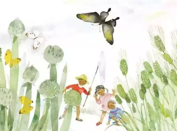 《窗边的小豆豆》：每个人心中都有一座“巴学园”