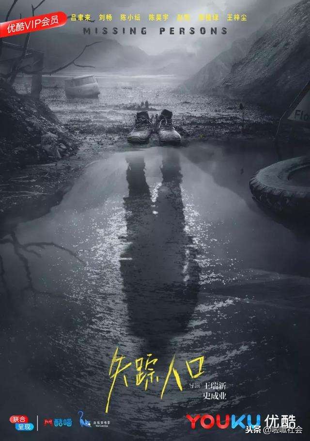 马航最新失踪案,马航失踪事件前录像