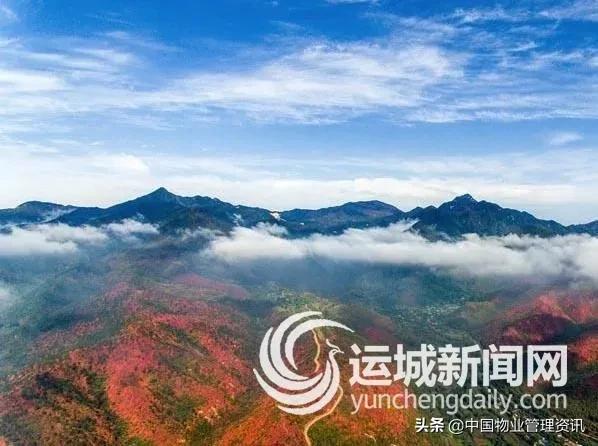 万古长青繁体字图片,万古长青出自哪一诗句