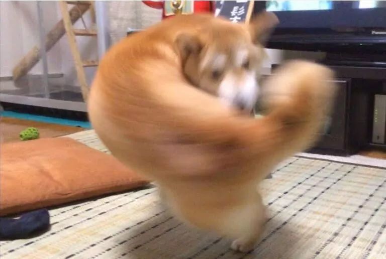 10个你一定不知道的动物冷知识,1000个牛动物有趣的冷知识