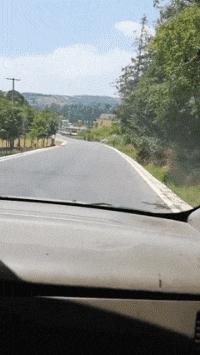 搞笑gif跟着妹子的节拍摇起来,敲锣打鼓甩头搞笑gif