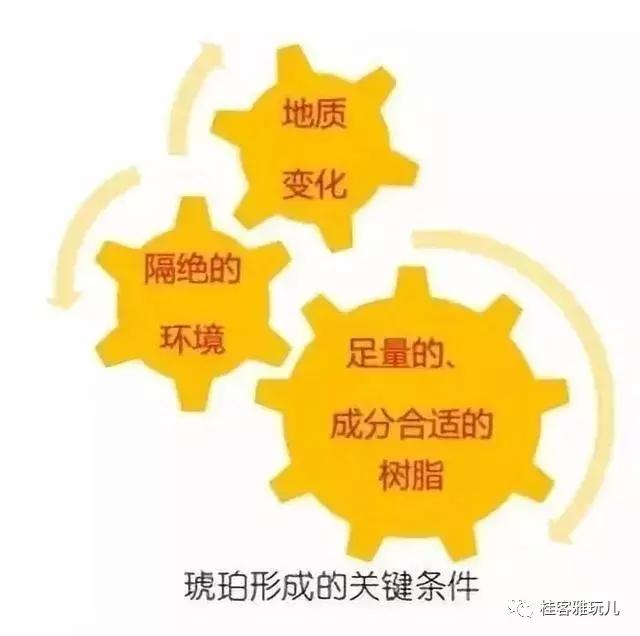 如何鉴定琥珀蜜蜡的真伪,玛瑙琥珀蜜蜡有什么区别