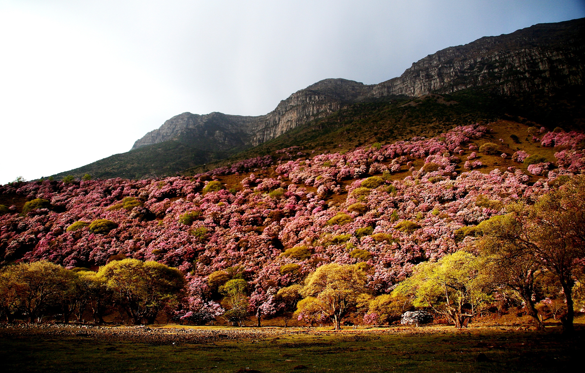 昆明周边游玩2-3天推荐地方,昆明周边游玩景点推荐2天1晚