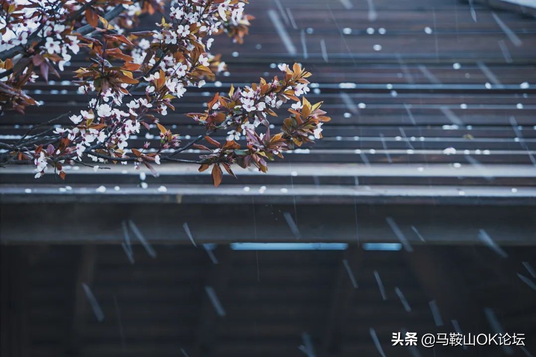 直降20度的天气,直降蹦极