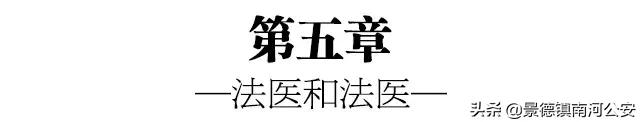 法医悬疑系列电影,10部好看的法医悬疑电影