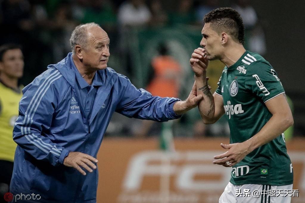 鲁能新援最新评测,鲁能核心强援新消息