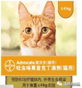 猫咪体外驱虫药哪个牌子好,驱虫最全的猫咪外驱