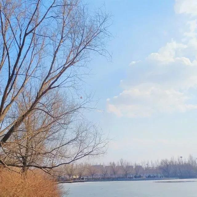 沈阳理工大学辽宁工程技术大学,沈阳理工大学专科院校