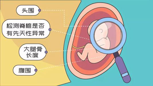 宝宝出生有六个手指头怎么回事,宝宝出生6个指头是福是祸