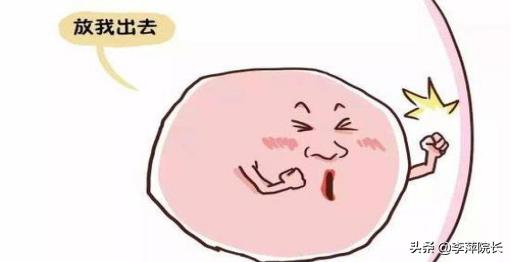 卵子长大了不排最后会怎么样,卵子能长大却不能排出来