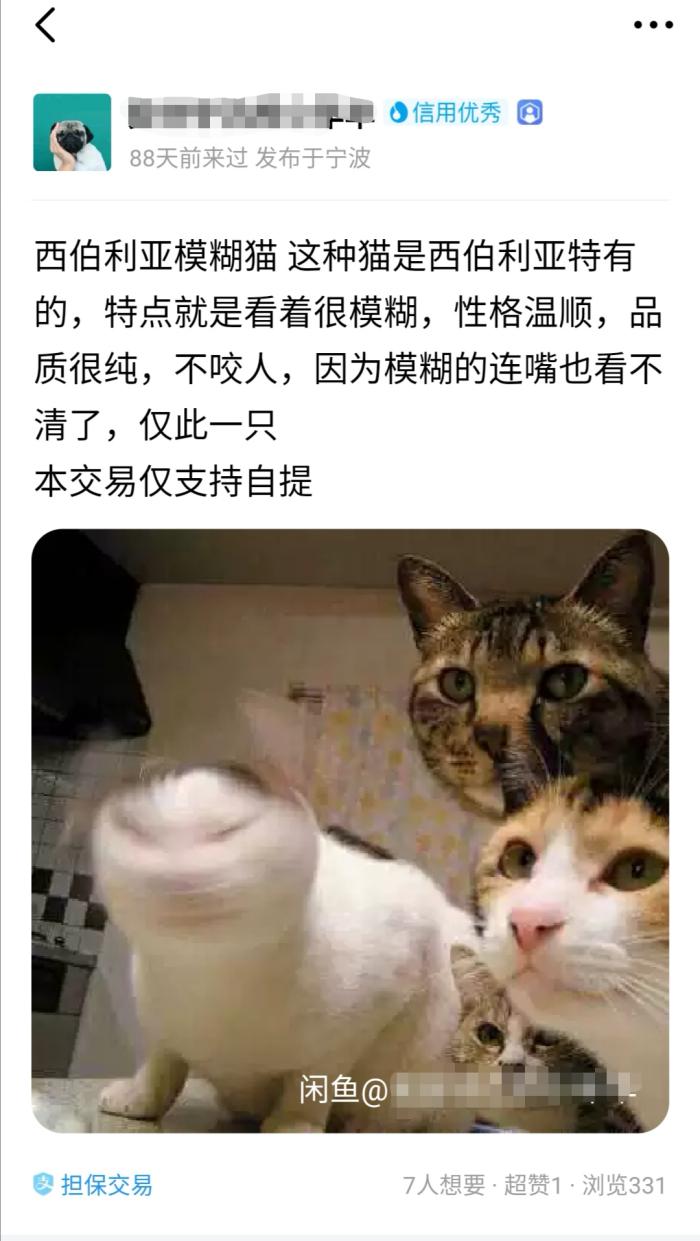 闲鱼上为什么那么多便宜的外星人,闲鱼高配置低价格卖外星人