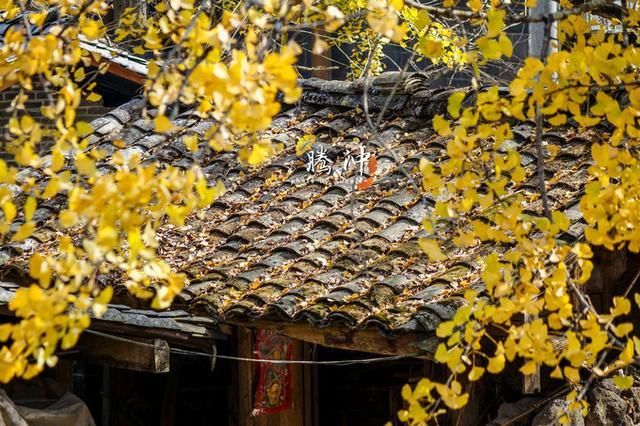 邂逅秋的王国:腾冲,你已在我心间