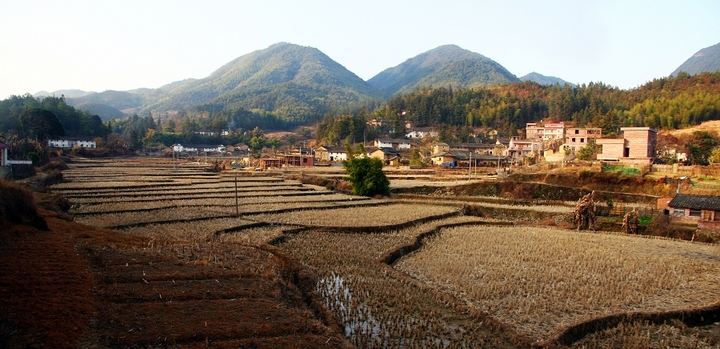 无处安放的乡愁和深远持久的记忆,农村成了想回去回不去的乡愁