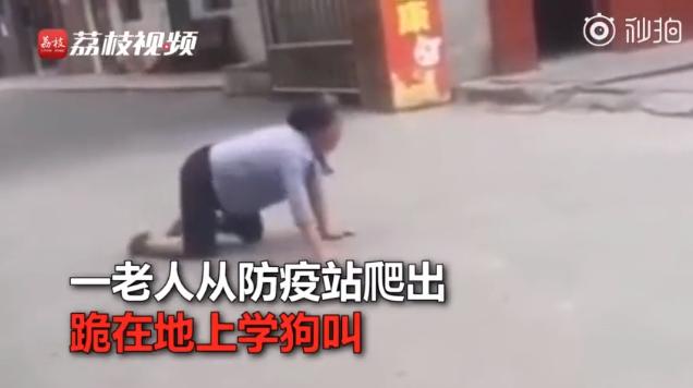 100%的致死率狂犬病到底有多可怕,如何消除狂犬病恐惧不安的心理