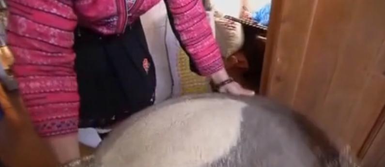 红瑶小妹护发分享,红瑶古法养发护发