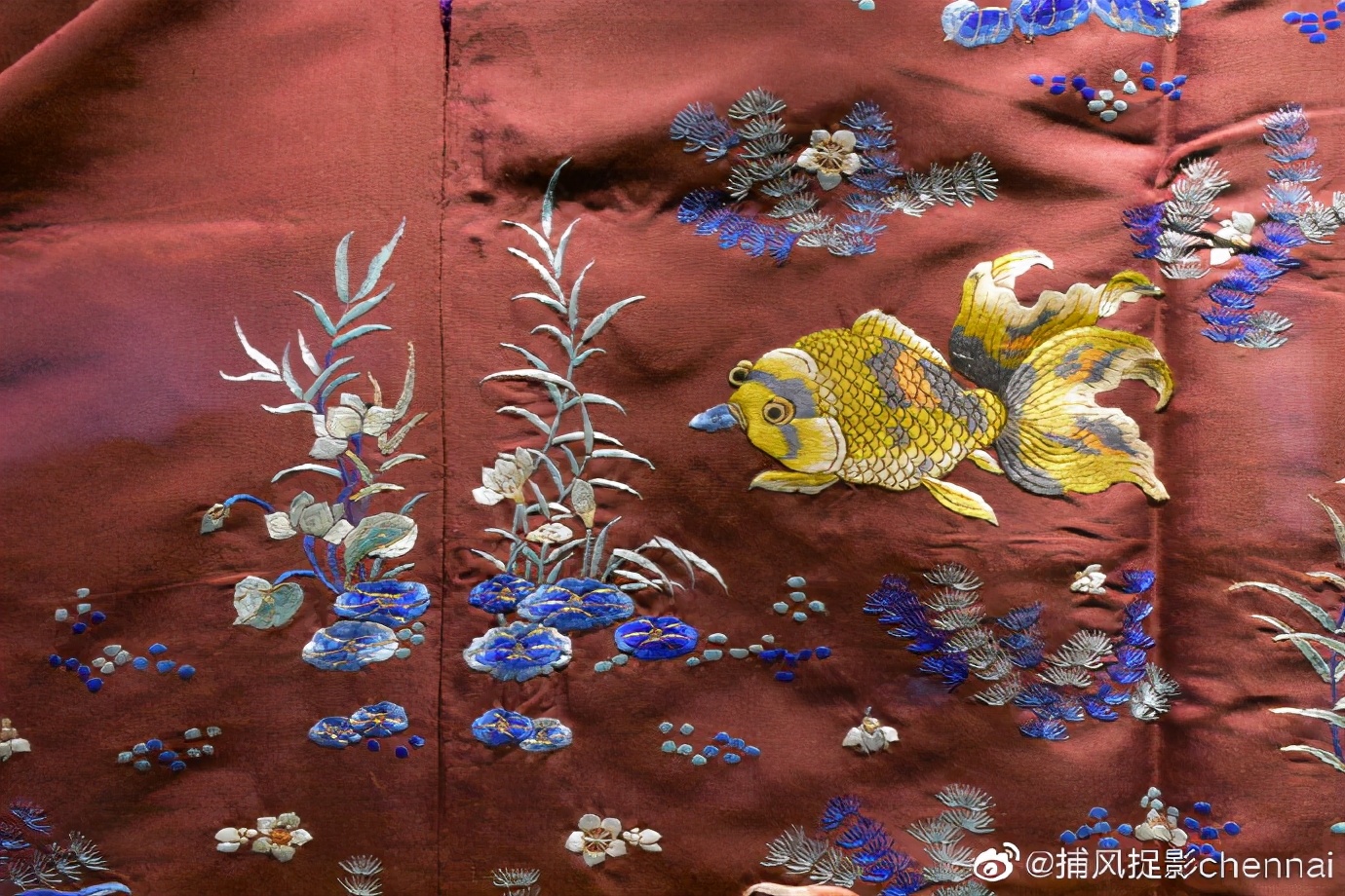 金鱼展和金鱼题材*物文**展